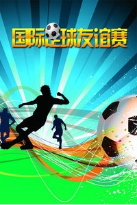 国际足球友谊赛 2012