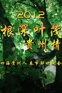 贵州卫视春节联欢晚会 2012