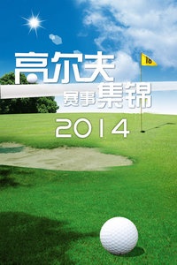 高尔夫赛事集锦 2014