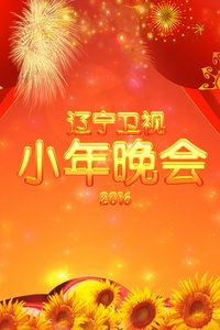 辽宁卫视小年晚会 2016