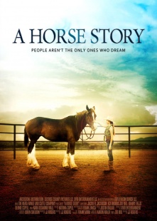 关于一匹马的故事