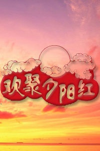 欢聚夕阳红 2011