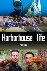 Harborhouse life 2016