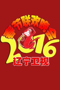 辽宁卫视春节联欢晚会 2016