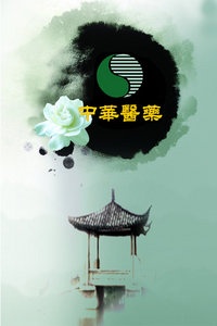 中华医药 2010
