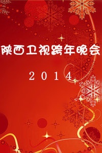 陕西卫视跨年晚会 2014