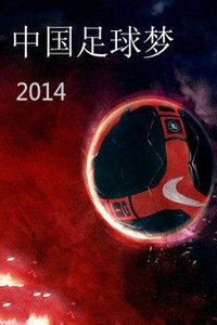 中国足球梦 2014