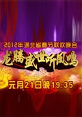 湖北卫视“龙腾盛世听凤鸣”春节联欢晚会 2012