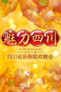 魅力四川—四川省新春联欢晚会 2013