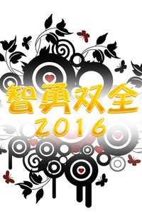 智勇双全 2016