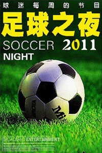 足球之夜 2011