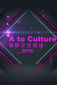 姝婷文化现场 2016