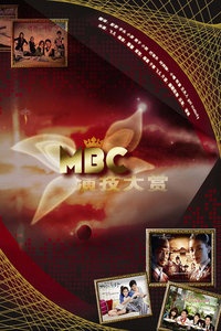 MBC演技大赏 2011