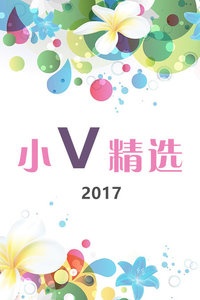 小V精选 2017