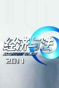 经济与法 2011