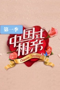 中国式相亲 第一季