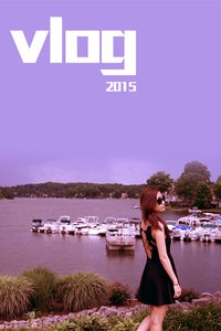 vlog 2015海报图片