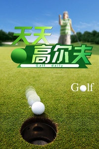 天天高尔夫 2013