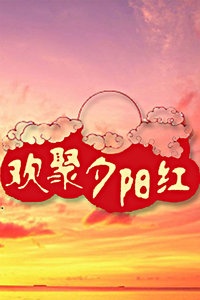 欢聚夕阳红 2012