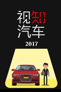 视知汽车 2017
