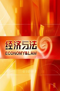 经济与法 2012