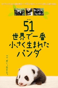 大熊猫51的故事